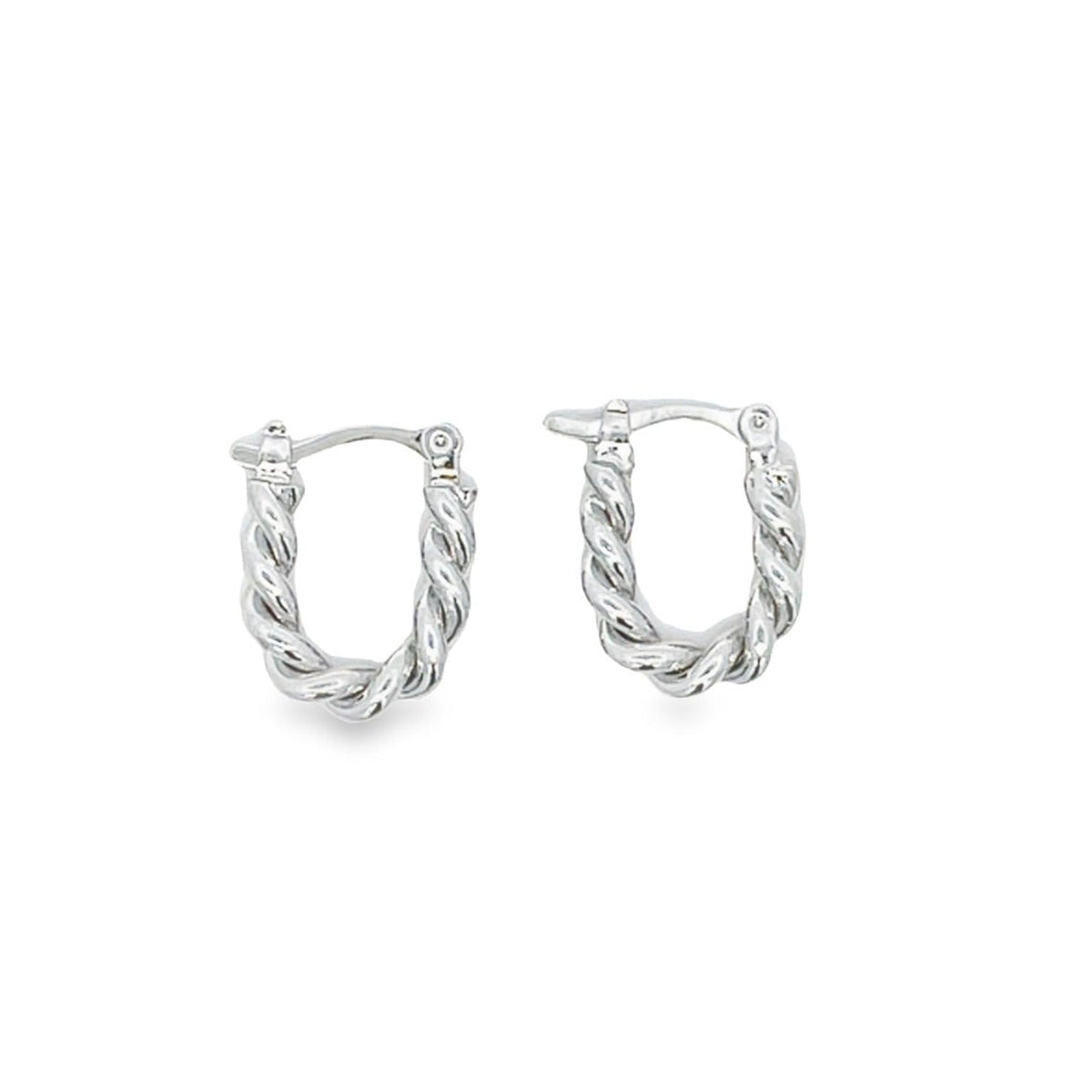 Twisted Hoops Lever Back Earrings
